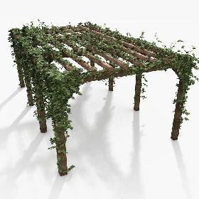 Wooden Pergola With Ivy Plant